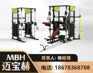 吕梁多功能综合训练器